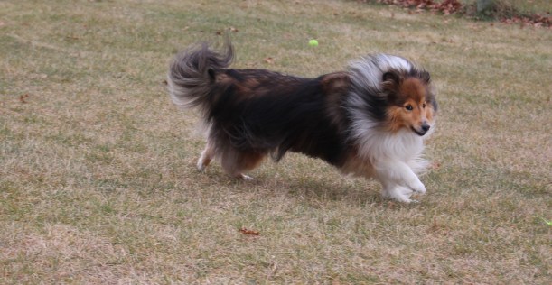 I could just run all day!