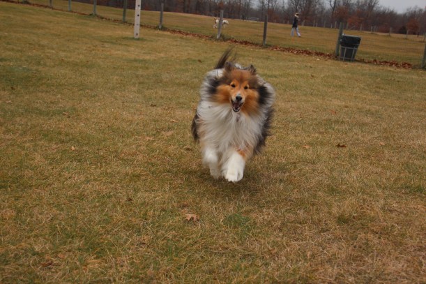 Got any treats mama?