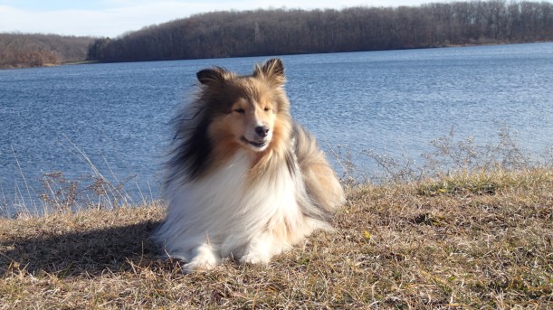 This is a good park mama!