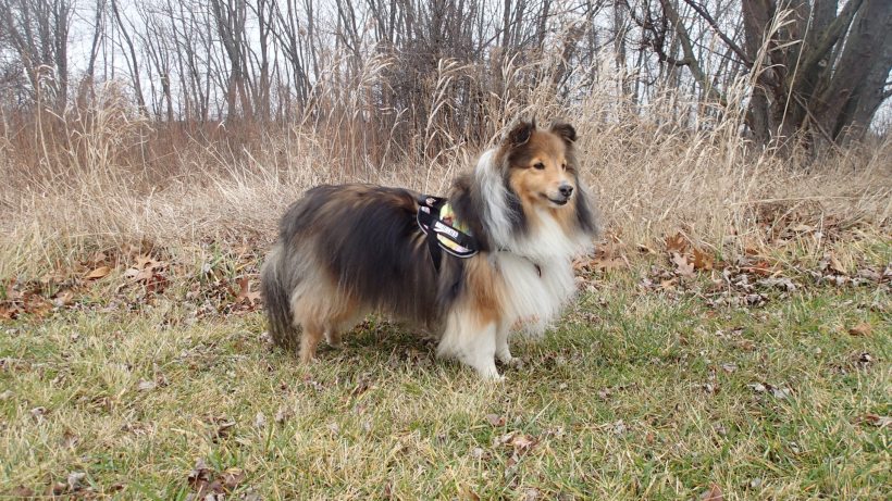 I'm the birthday girl!