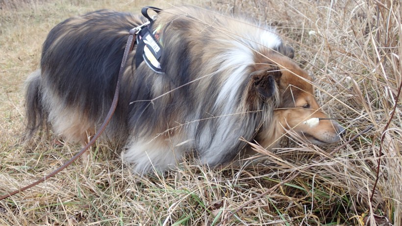 Good smells here mama!