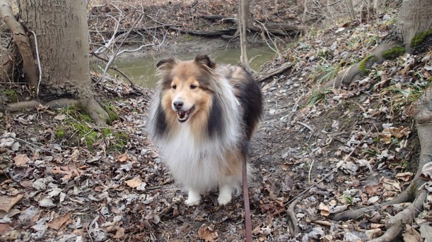 Just a muddy little creek this time of year mama!