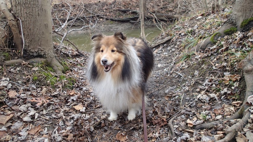 Just a muddy little creek this time of year mama!