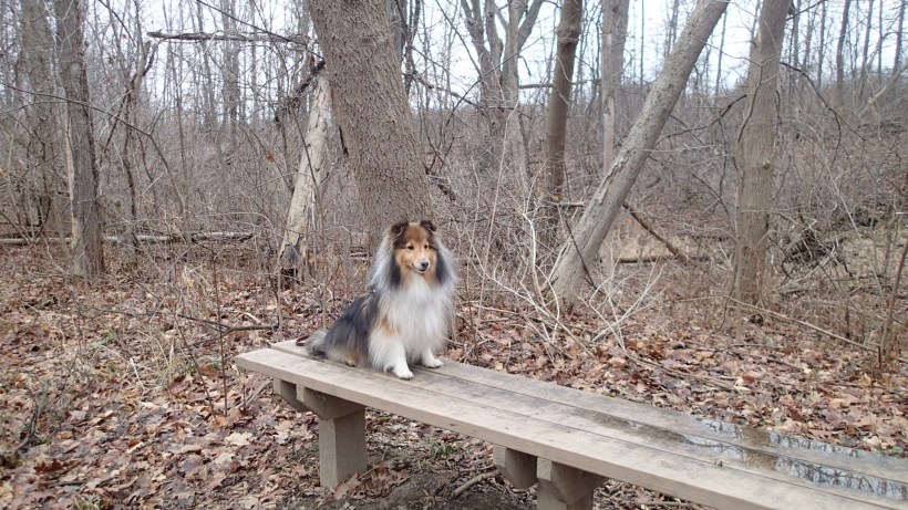 I didn't protest, sitting on this bench gave me a chance to rest!