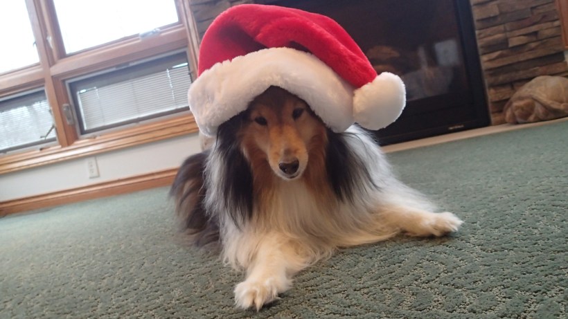 Mama!  This hat is too big for me!