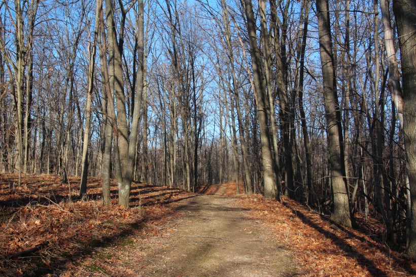 Extraordinary morning.