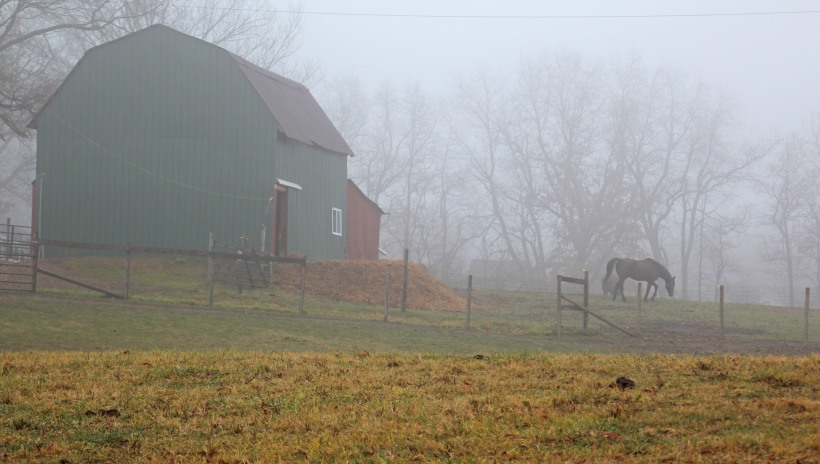 Foggy horse barn
