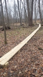 Wonder where this goes?