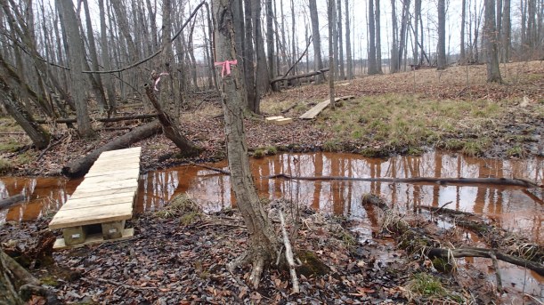 Someday we'll explore on the other side.