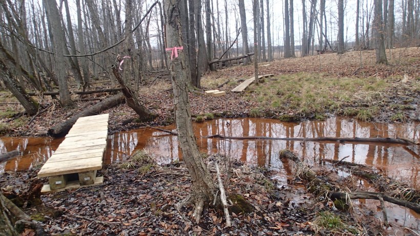 Someday we'll explore on the other side.