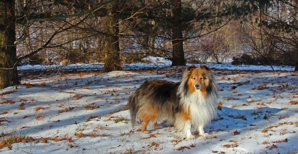 This is my back yard!