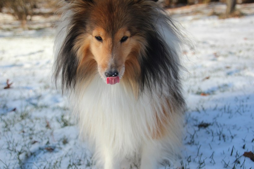 Imported Photos 00019