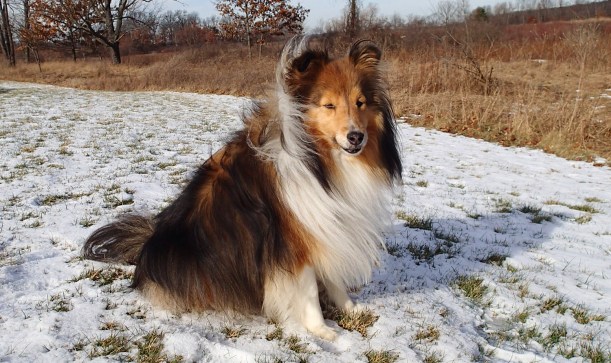 I couldn't stop smiling!