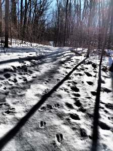 Lots of coming and going.