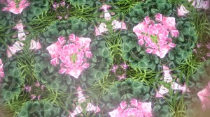 Another view...just turn the pot.