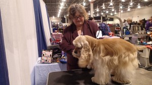 Getting his handsome on.