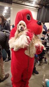 Deuce was looking for a treat.