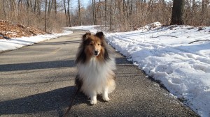 This is fun mama!  And cooler too!