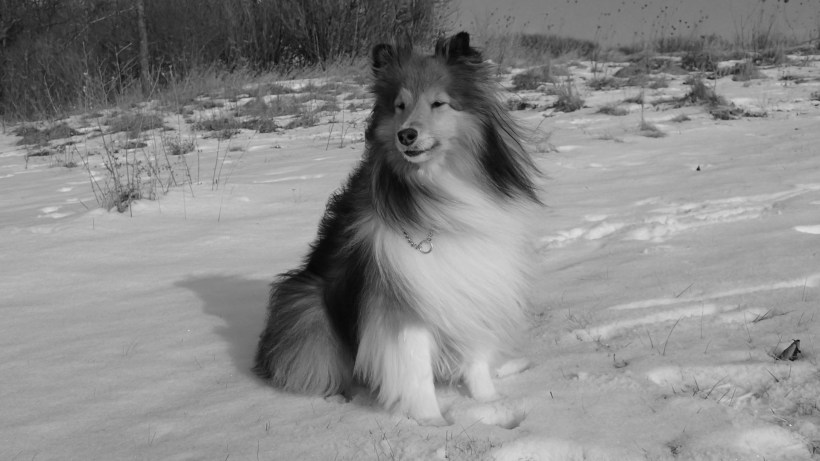 Did you get my good side mama?