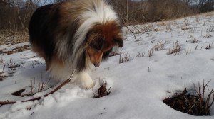 I smell something under here mama!