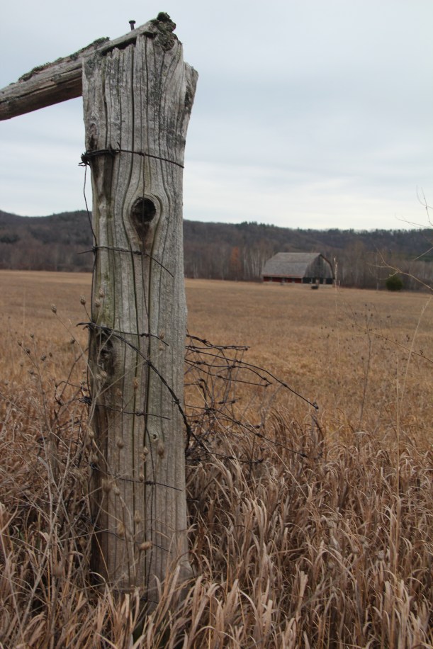Used to be a working farm.