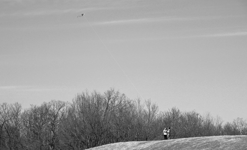 Let's go fly a kite.