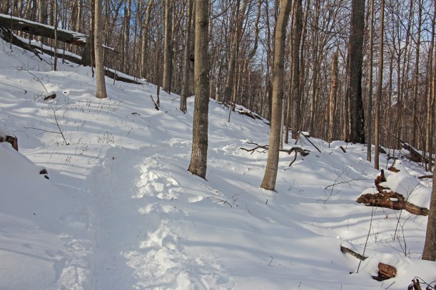 An obvious path makes the walk easier.