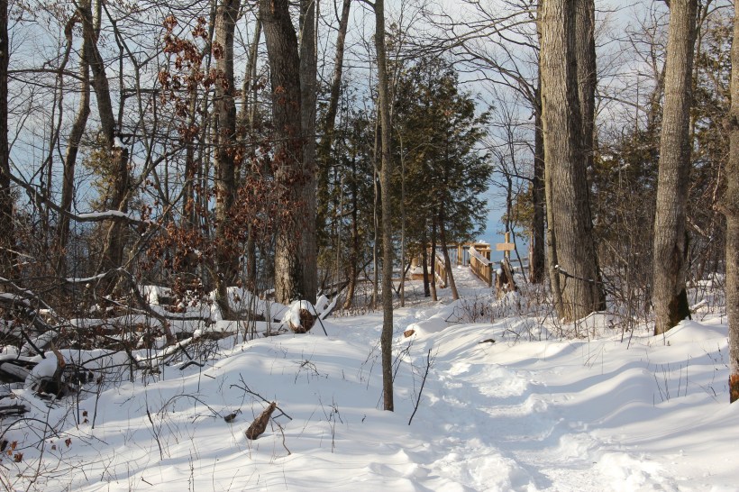 Wonder what I'll see?