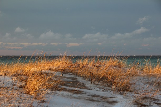 Turning grass into gold.