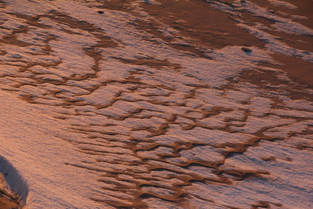 Sand ripples in rose light.