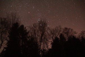 Orion's belt is caught in the tree branches.
