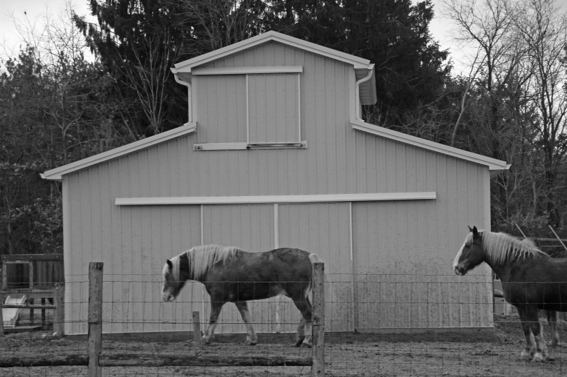 Horse house.