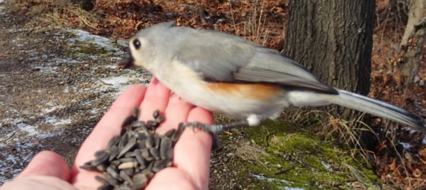 He weighs nothing at all.