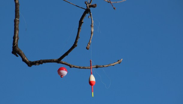 Remnants from last summer.