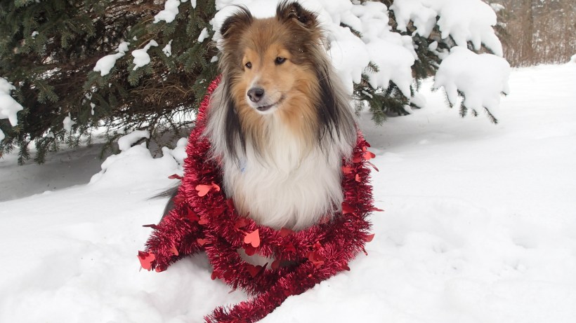 My calendar girl look.