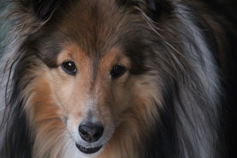 Imported Photos 00551