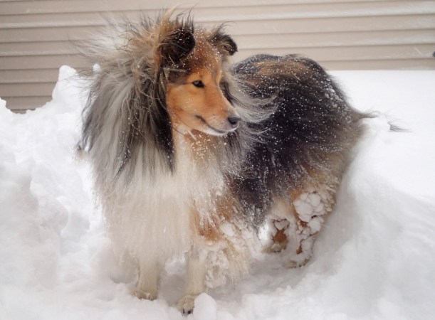 I'll just stay up here mama.