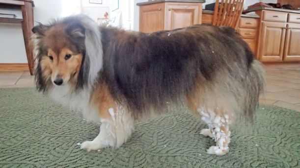 This is a fine mess I'm in.