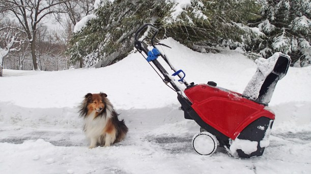 Doesn't look like a vacuum mama!