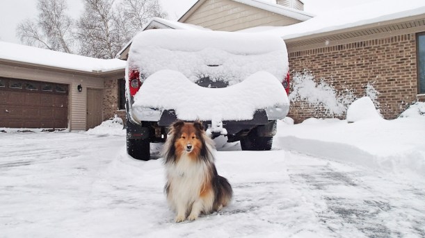 Are we going to go on an adventure mama?