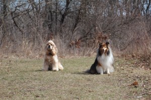 Close...but not TOO close.