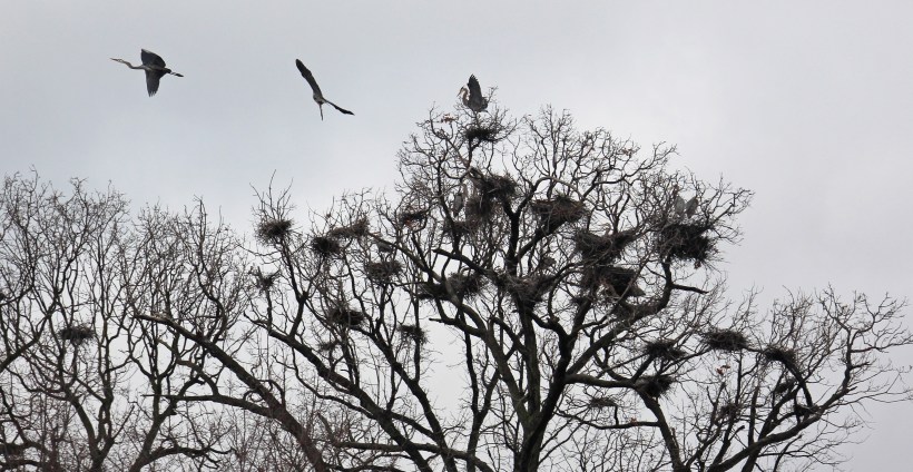 Flying over the neighborhood.