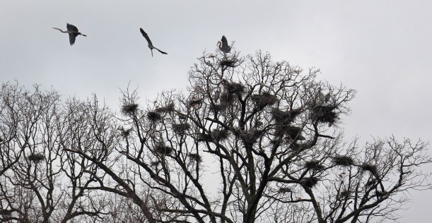 Flying over the neighborhood.