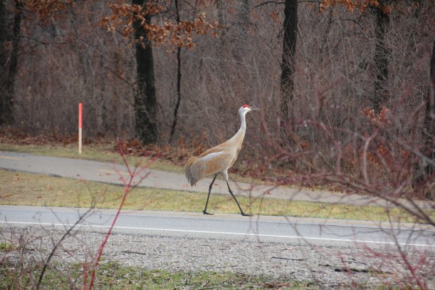 Got important things to do.