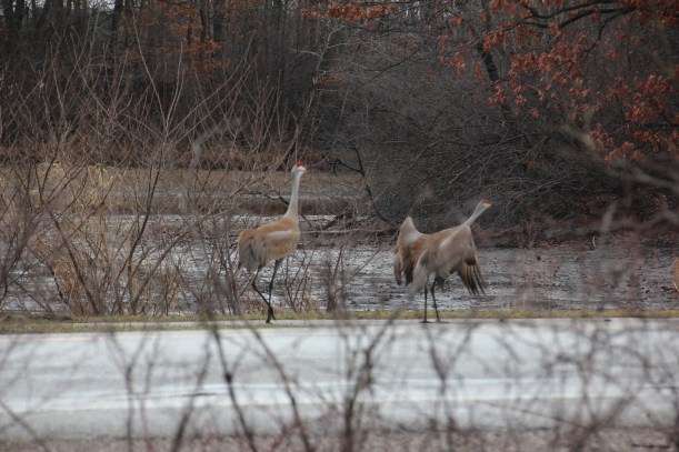 Hey there good looking.