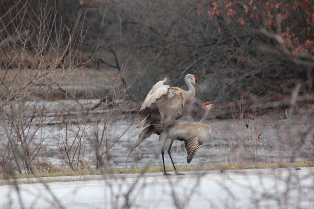 Quick! Someone's coming!