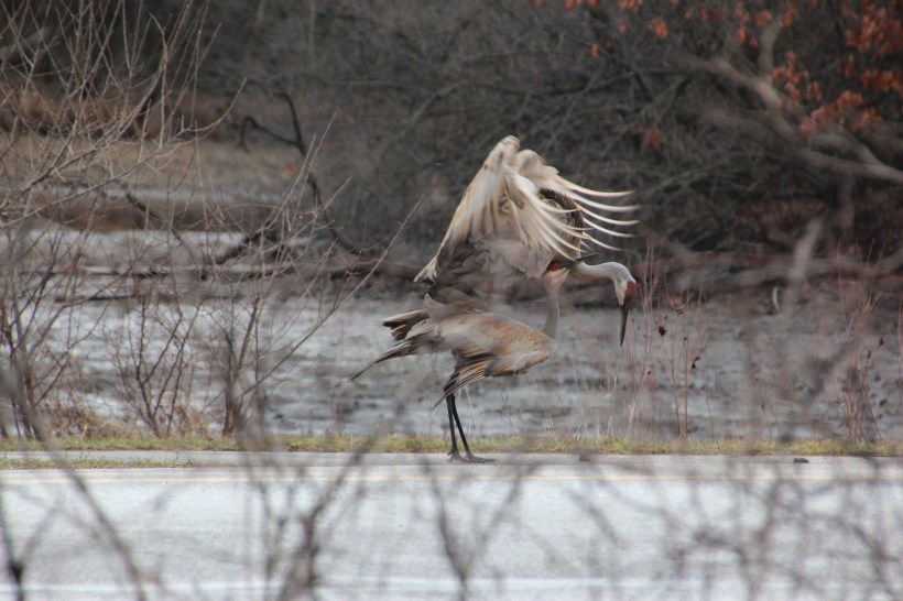 How about a date next Friday night?