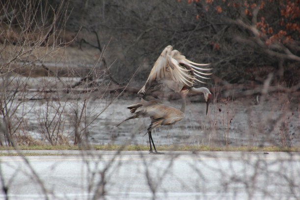 How about a date next Friday night?