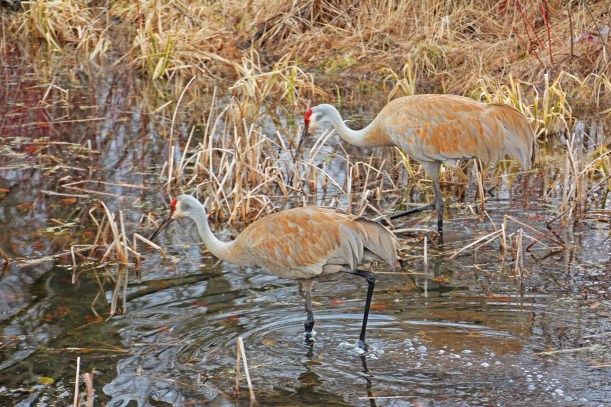 I love you too sweetheart.