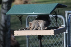 Imported Photos 01516